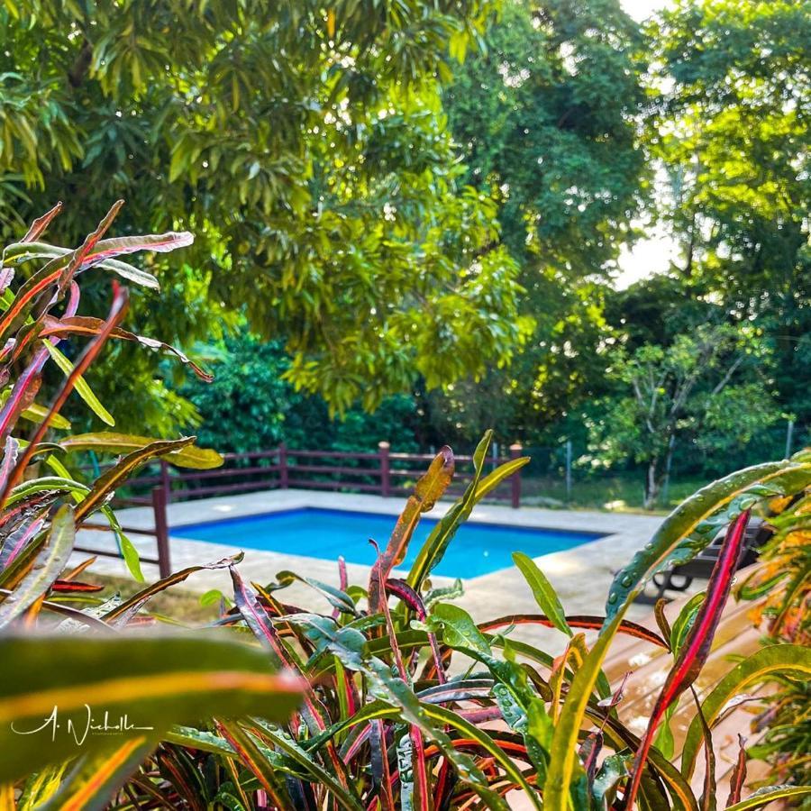 Tropical Apartments Tobago Scarborough Dış mekan fotoğraf